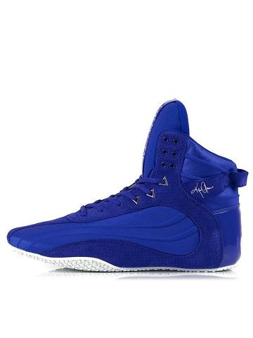 Blue Ryderwear Men Shoes Kai Greene Signature D-Mak Men's Shoes | AU1601KI