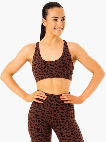 Chocolate Leopard Ryderwear Women Sports Bra Evolution Women's Sports Bra | AU2465JJ