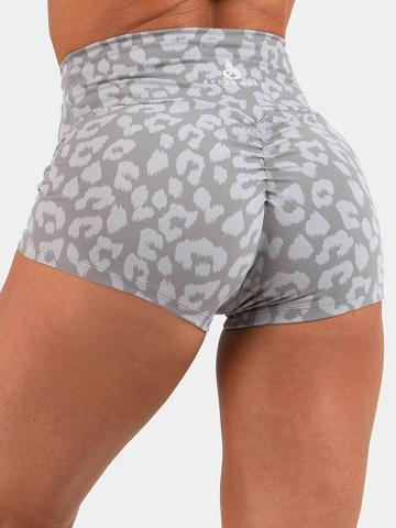 Leopard Grey Ryderwear Women Shorts Animal Scrunch Bum Women's Shorts | AU2014GL